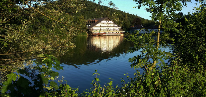 jezero črnava in hotel bor ideja za sprehod ali izlet s psom